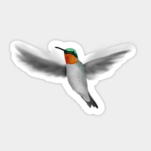 Tiny Illustrated Hummingbird Sticker